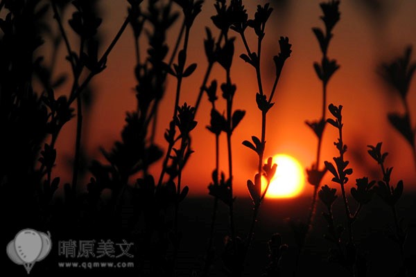 女人請你幫三種忙就是在表白
